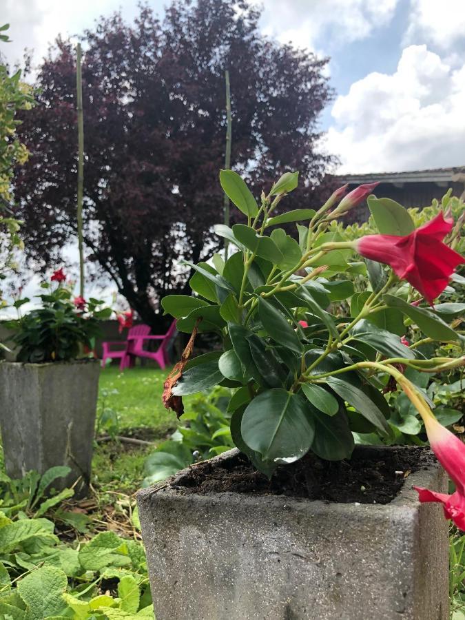 Chambre D'Hotes La Jonchere Les Herbiers Eksteriør bilde